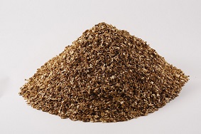 Steinpilzk&ouml;rner